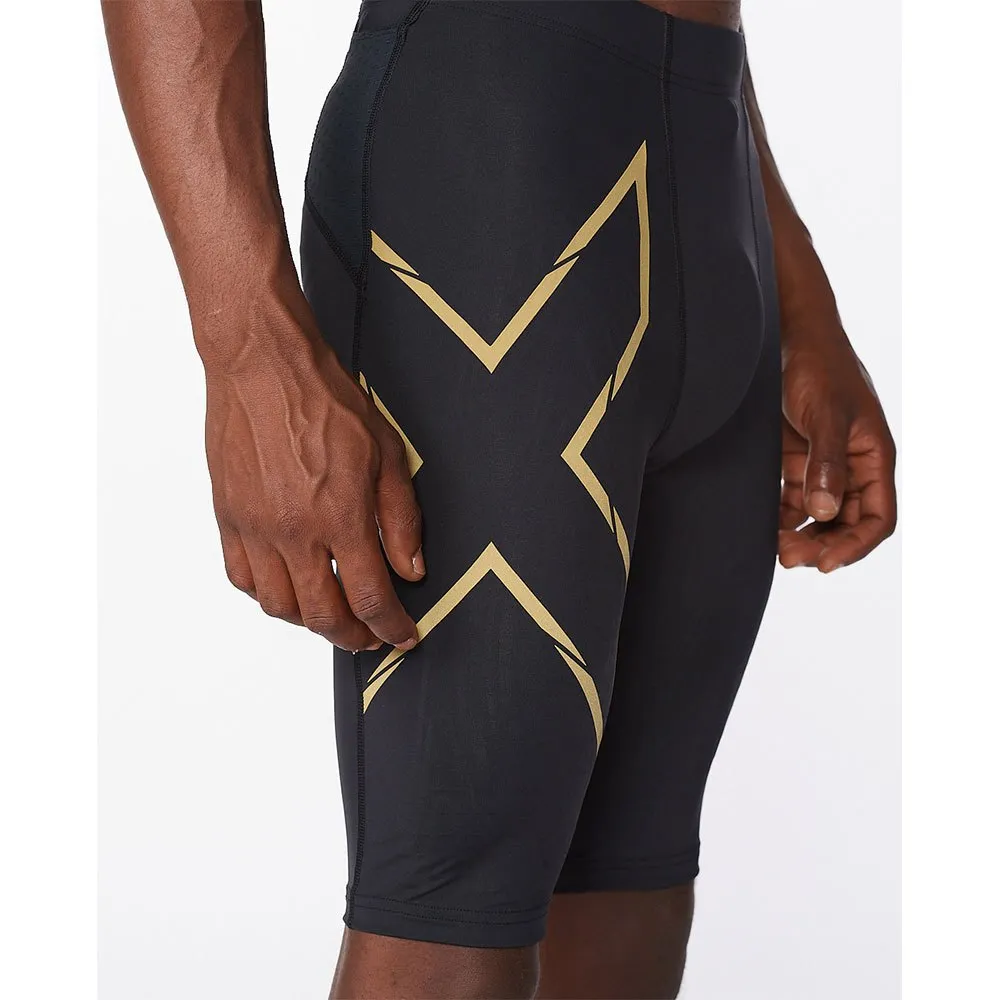 2XU Light Speed Korta Leggings male