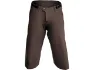 Brown 1