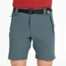 +8000 Dent Shorts