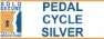 ABUS Iven Chain 8210/110 Kättinglås