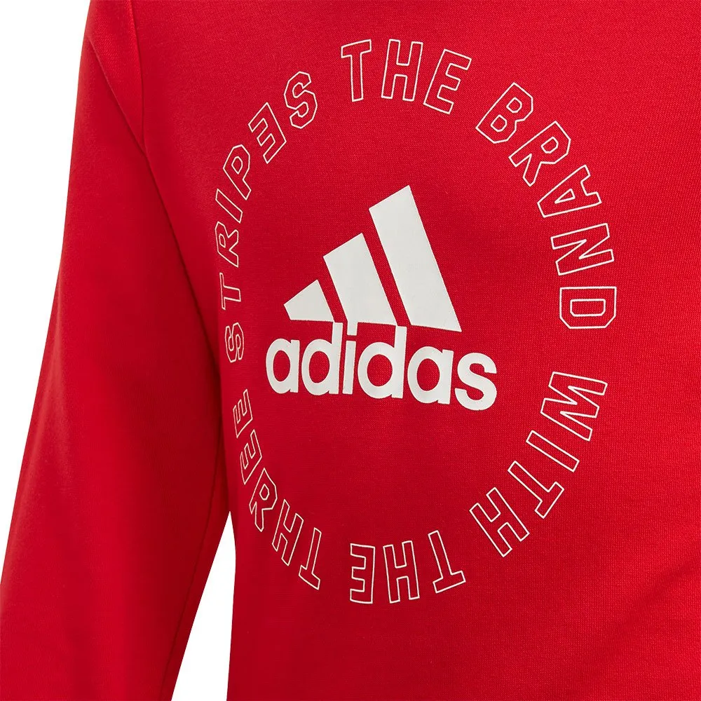 adidas Bold Crew Träningsdräkt, Scarlet / white