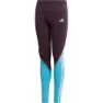 adidas Bold Leggings, Noble purple / bright cyan / signal pink