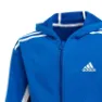 adidas Bold Sweatshirt Med Dragkedja