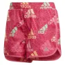 adidas Brand Lov 4´´ Shorts female