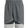 adidas Clrdo Simshorts male