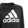 adidas Designed To Move Big Logo Tröja