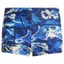 adidas Graphic Badbyxor Boxer male