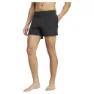 adidas Iconisea Simshorts male