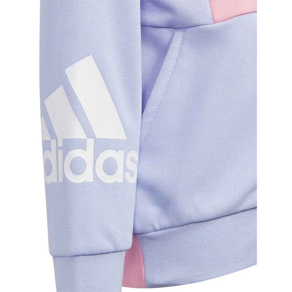 adidas Lk Bos Kn Tröja Med Huva, Violet tone / light pink, 12-24MON
