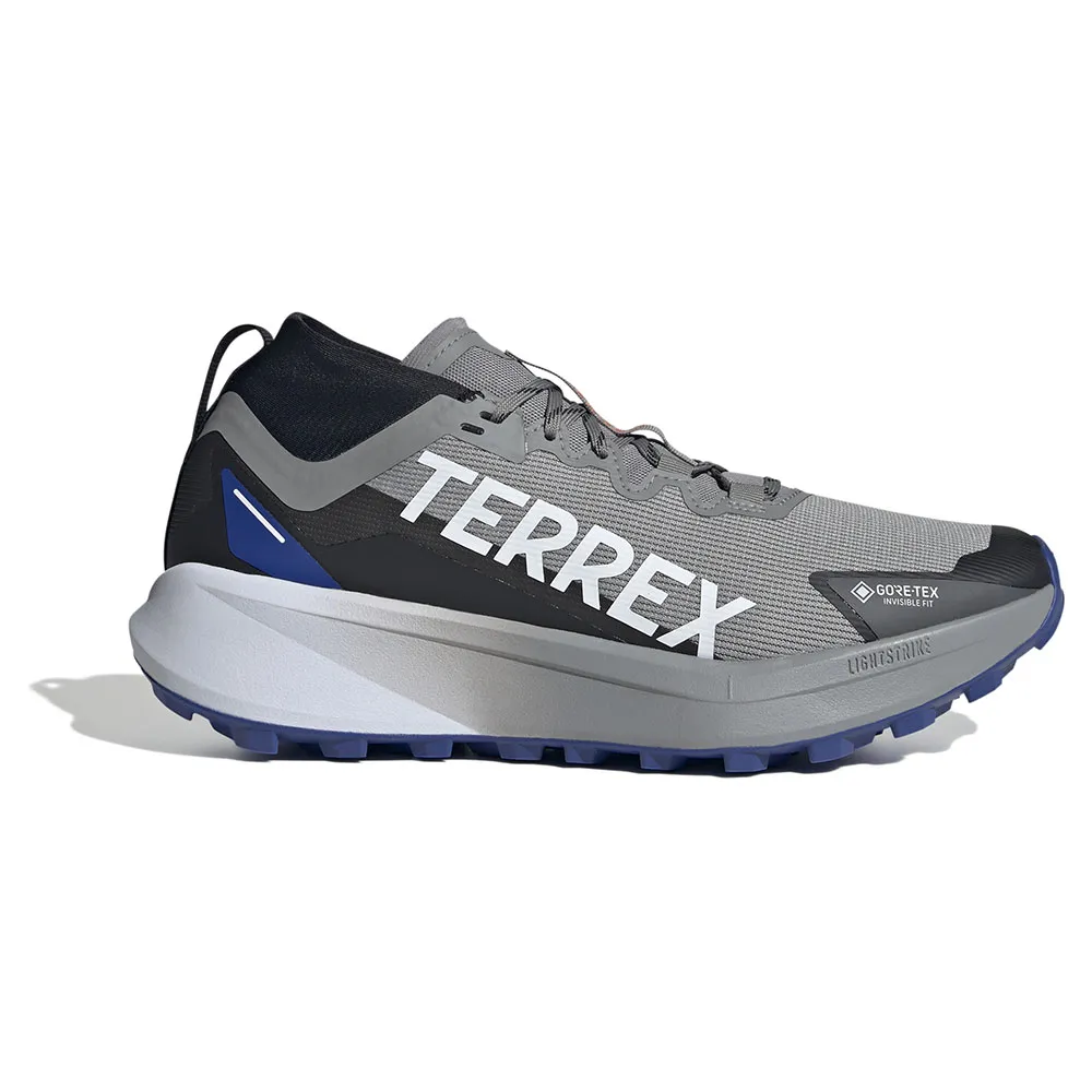adidas Men's Terrex Agravic Gore-Tex