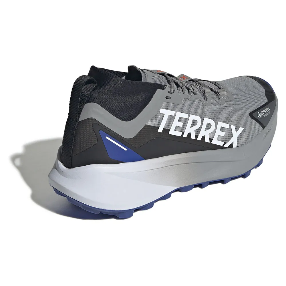 adidas Men's Terrex Agravic Gore-Tex