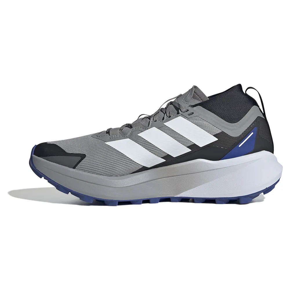 adidas Men's Terrex Agravic Gore-Tex