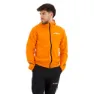 Semi impact orange