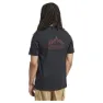 adidas Terrex Graphic T-shirt Med Korta ärmar