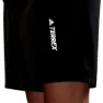 adidas Terrex Liteflex Hiking Shorts