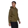 adidas Terrex Logo Graphic Tröja Med Huva, Green