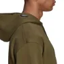 adidas Terrex Logo Graphic Tröja Med Huva, Green