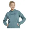 adidas Terrex Multi Large Logo Huvtröja
