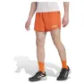 adidas Terrex Multi Light 5´´ Shorts male
