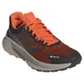 adidas Terrex Soulstride Flow Goretex Trailskor male