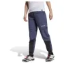adidas Terrex Utilitas Hiking Zip Off Byxor