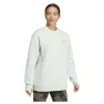 adidas Terrex Xploric Crewneck Tröja