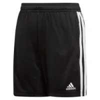 adidas Tiro 19 Training Shorts male adidas Tiro 19 Training Shorts male