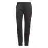 adidas Women's 5.10 Felsblock Pants, Black