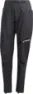 adidas Women's TERREX Techrock RAIN.RDY Pants, Black