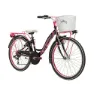 Adriatica Ctb 24´´ 6s Cykel, Black / pink, One Size