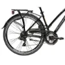 Adriatica Sity 2 H45 21s Cykel, Black, One Size
