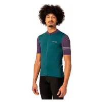 AGU Colorblock Performance Ärmlös Cykeltröja AGU Colorblock Performance Ärmlös Cykeltröja