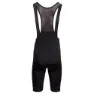 AGU Essential Bibshorts
