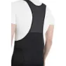 AGU Essential Bibshorts