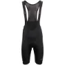 AGU Essential Bibshorts