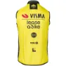 AGU Replica Visma | Lease A Bike 2024 Väst, Black / yellow