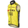 AGU Replica Visma | Lease A Bike 2024 Väst, Black / yellow