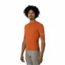 Ice tea orange