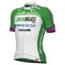 Alé Green Project-bardiani Csf-faizane Pro 2023 Korta ärmar Cykeltröja, Green / white