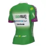 Alé Green Project-bardiani Csf-faizane Pro 2023 Korta ärmar Cykeltröja, Green / white