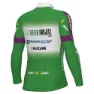 Alé Green Project-bardiani Csf-faizane Replica 2023 Långärmad Trikå, Green