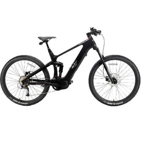 Alfa Romeo Full Carbon 29´´ Elcykel Mtb, Black, One Size, 250Wh