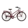 Alpina Bruschetta 26´´ 6s Cykel