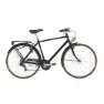 Alpina Freetime 28´´ 7s Cykel