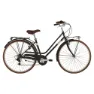 Alpina Rondine 28´´ 6s Cykel