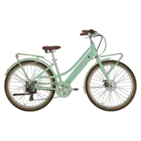 Alpina V1 Agave 27.5´´ Elcykel