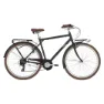 Alpina Velvet 28´´ 7s Cykel