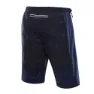 Alpine Pro Ginar Shorts male