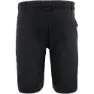 Alpine Pro Hampton Shorts