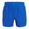 Altus Route Shorts